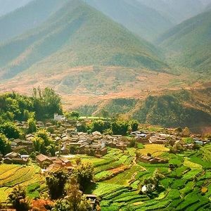 Meet your Posher, Wendy